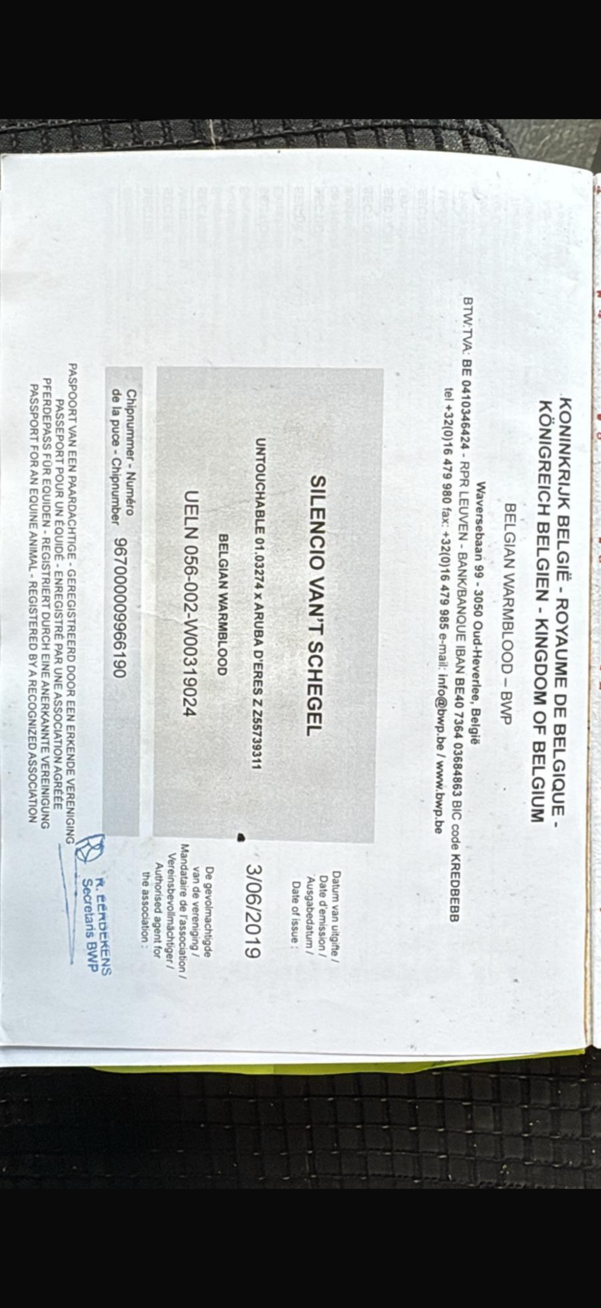 Silencio Van’t Schegel