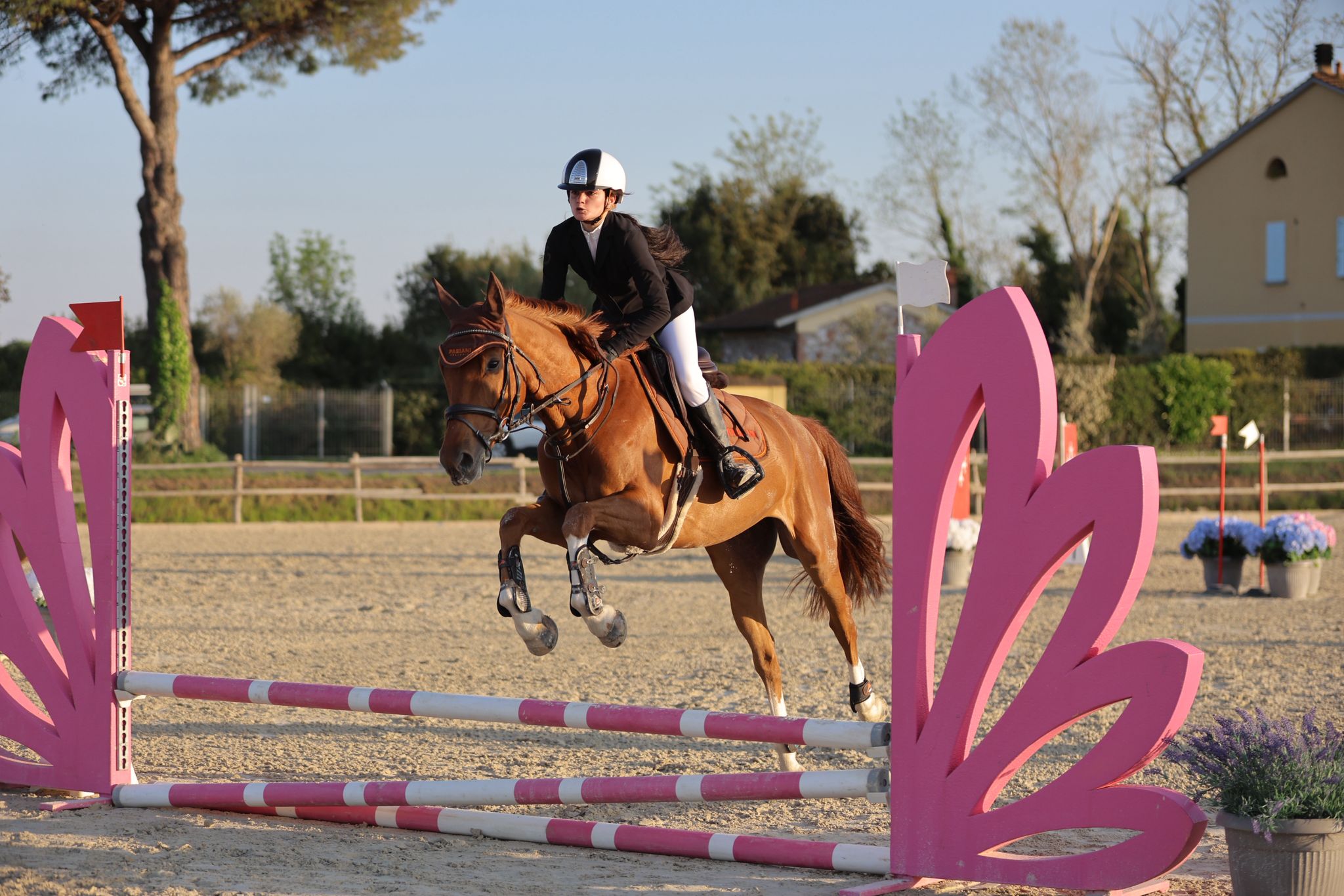 WhatsApp Image 2026-02-23 at 12.20.42 (3)