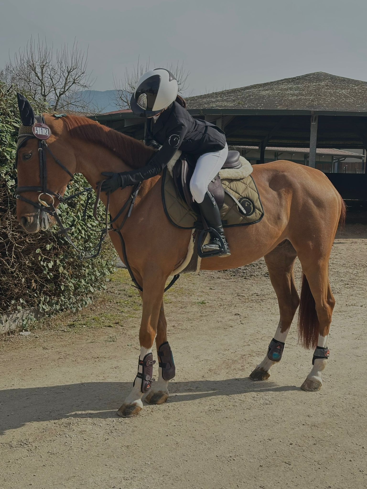 WhatsApp Image 2026-02-23 at 12.20.42 (4)