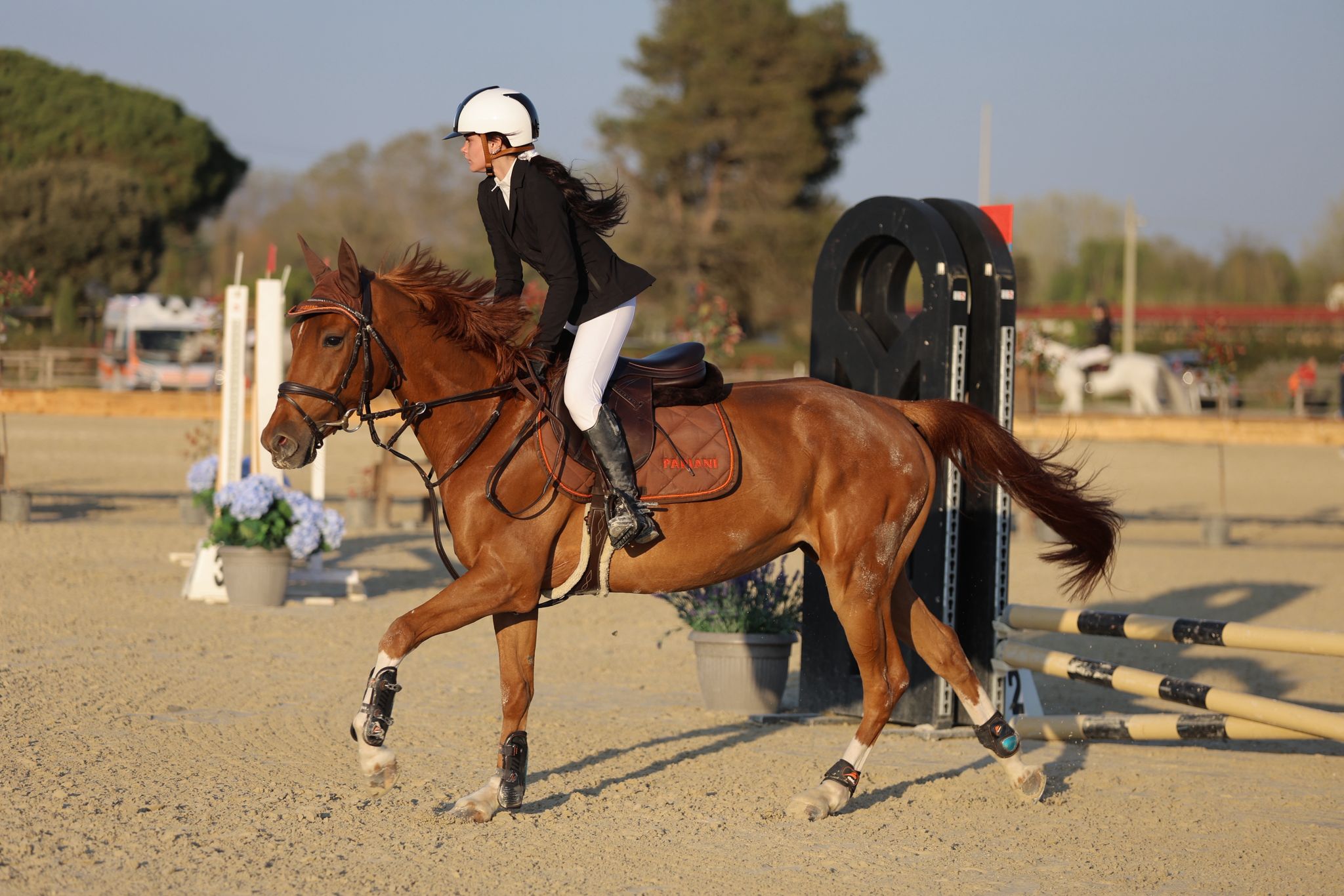 WhatsApp Image 2026-02-23 at 12.20.42