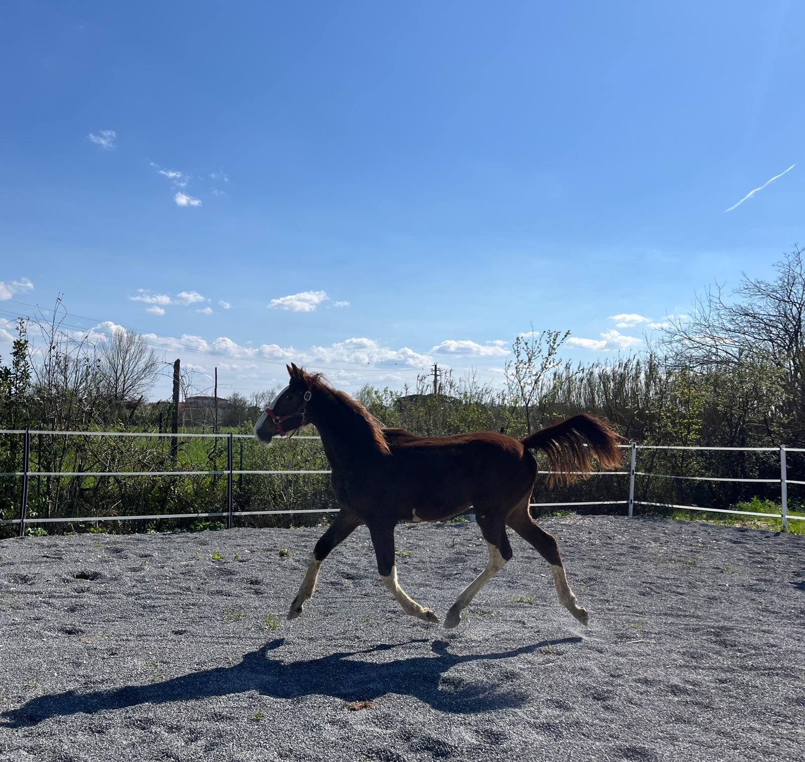 0f7720e2-28bb-4d9a-9423-a89a3a53f048