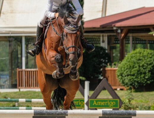 STAVROS VAN HET SARNAHOF