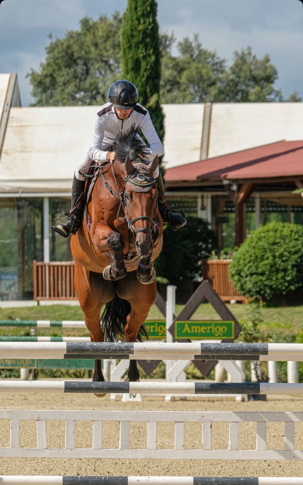 118b4183-b2d8-4614-84e2-bd9fe57e3f08