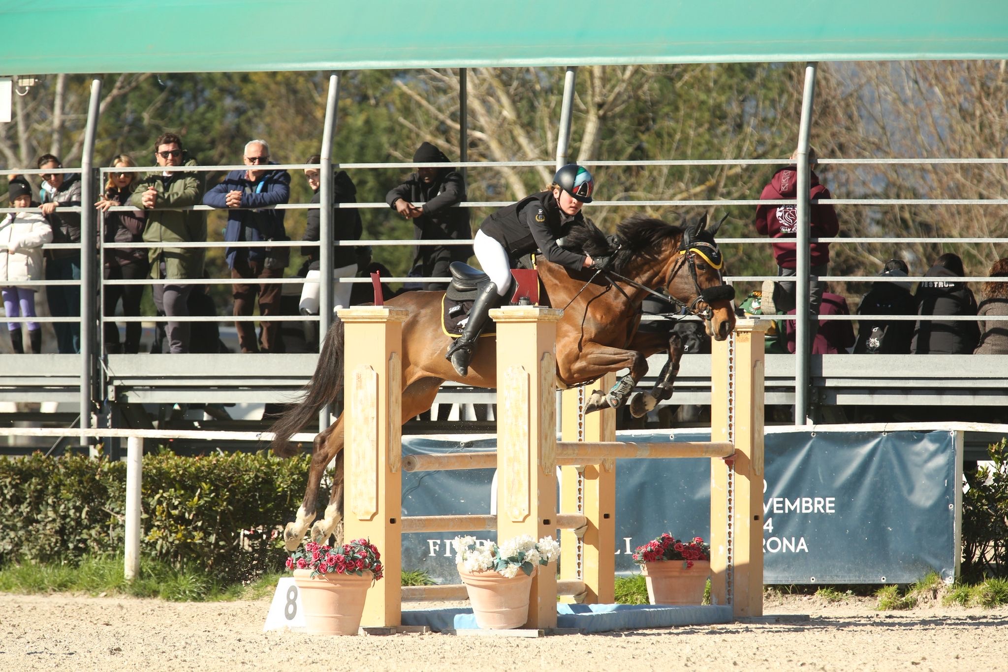 1b1ad8fc-75f0-4c69-b4a2-b6ec0c522d09