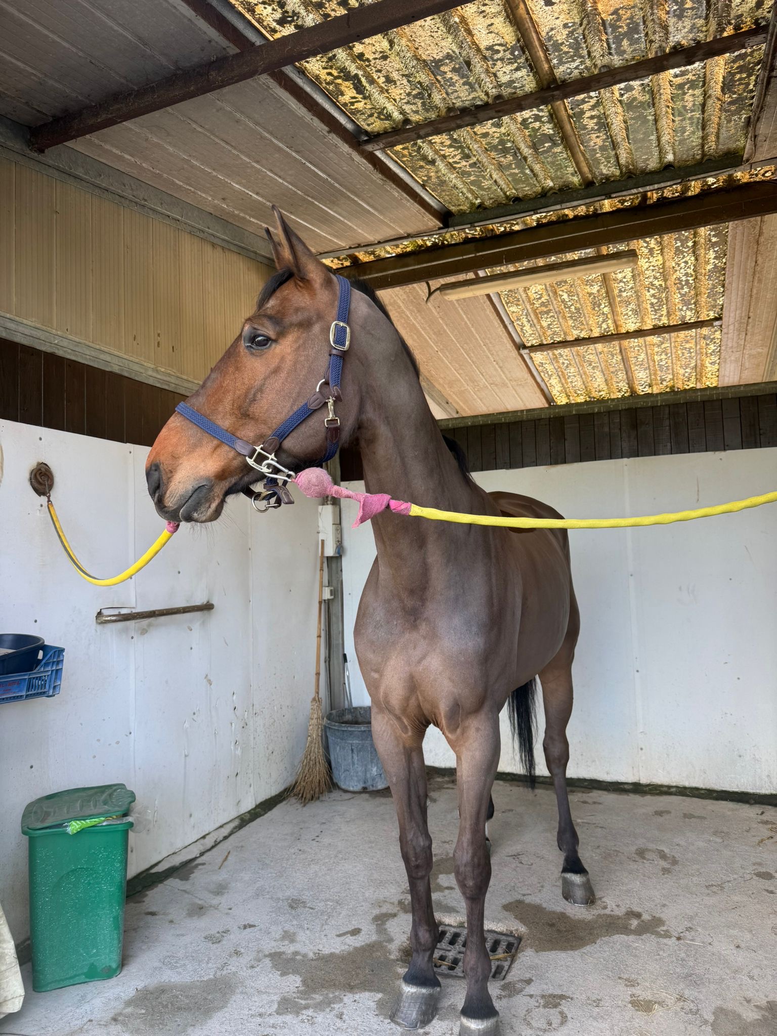 1bfa7c5c-106f-49ab-8323-2920ef25955b