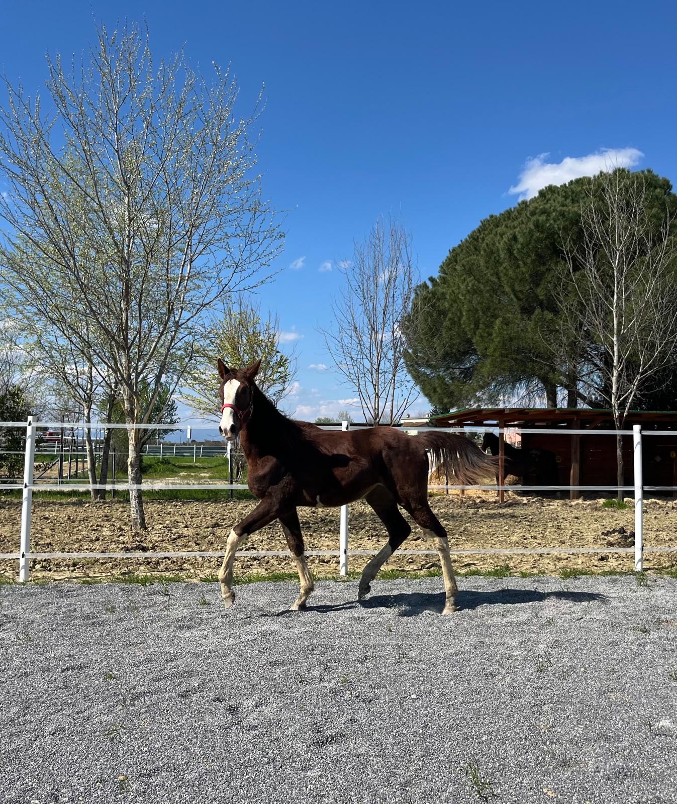 1f2e19a3-e8a1-4a35-abea-c8467ce01db0