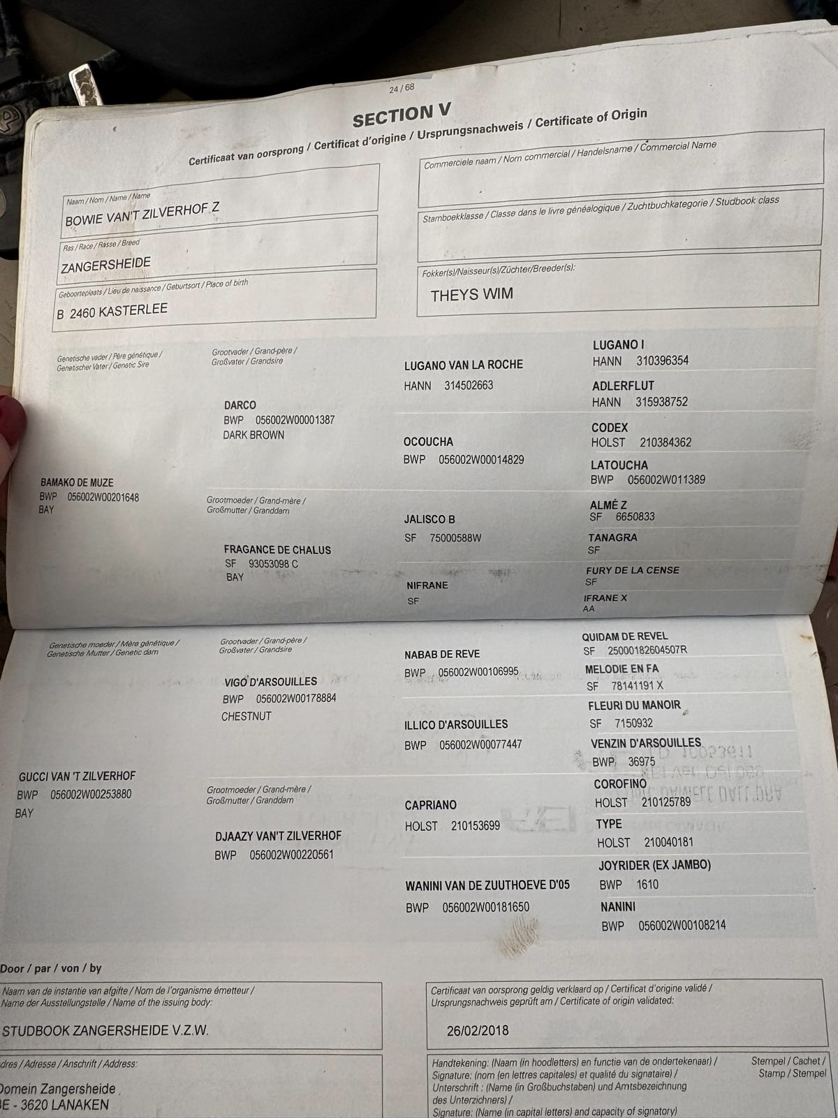 BOWIE VAN’T ZILVERHOF Z