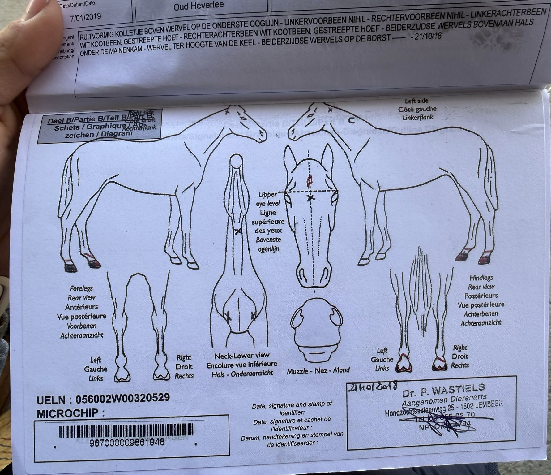 STAVROS VAN HET SARNAHOF