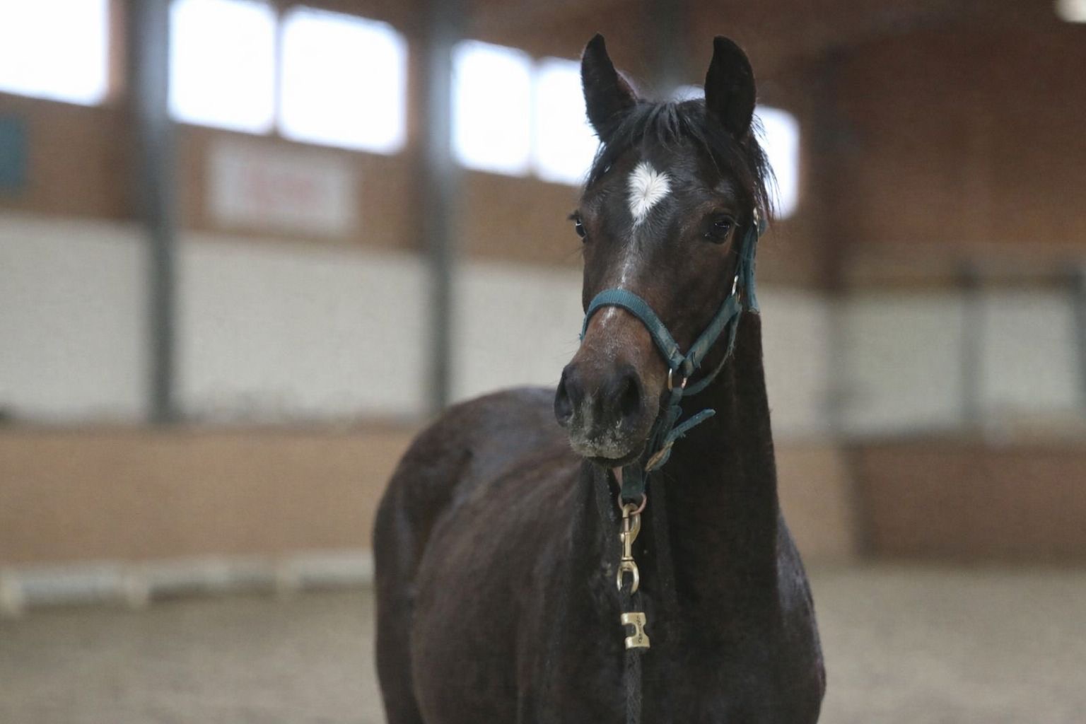 3cfc36c1-6d5f-4d28-b0f4-6b091902b738