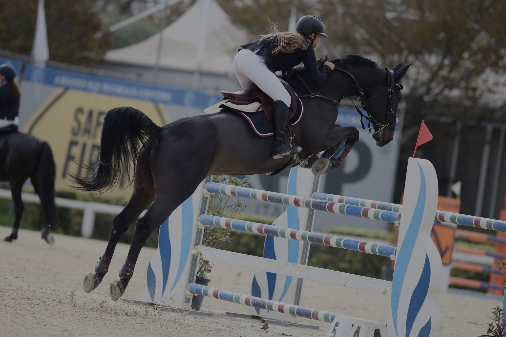 43bf71e8-30af-45c3-84b8-3b06cdbd9f66