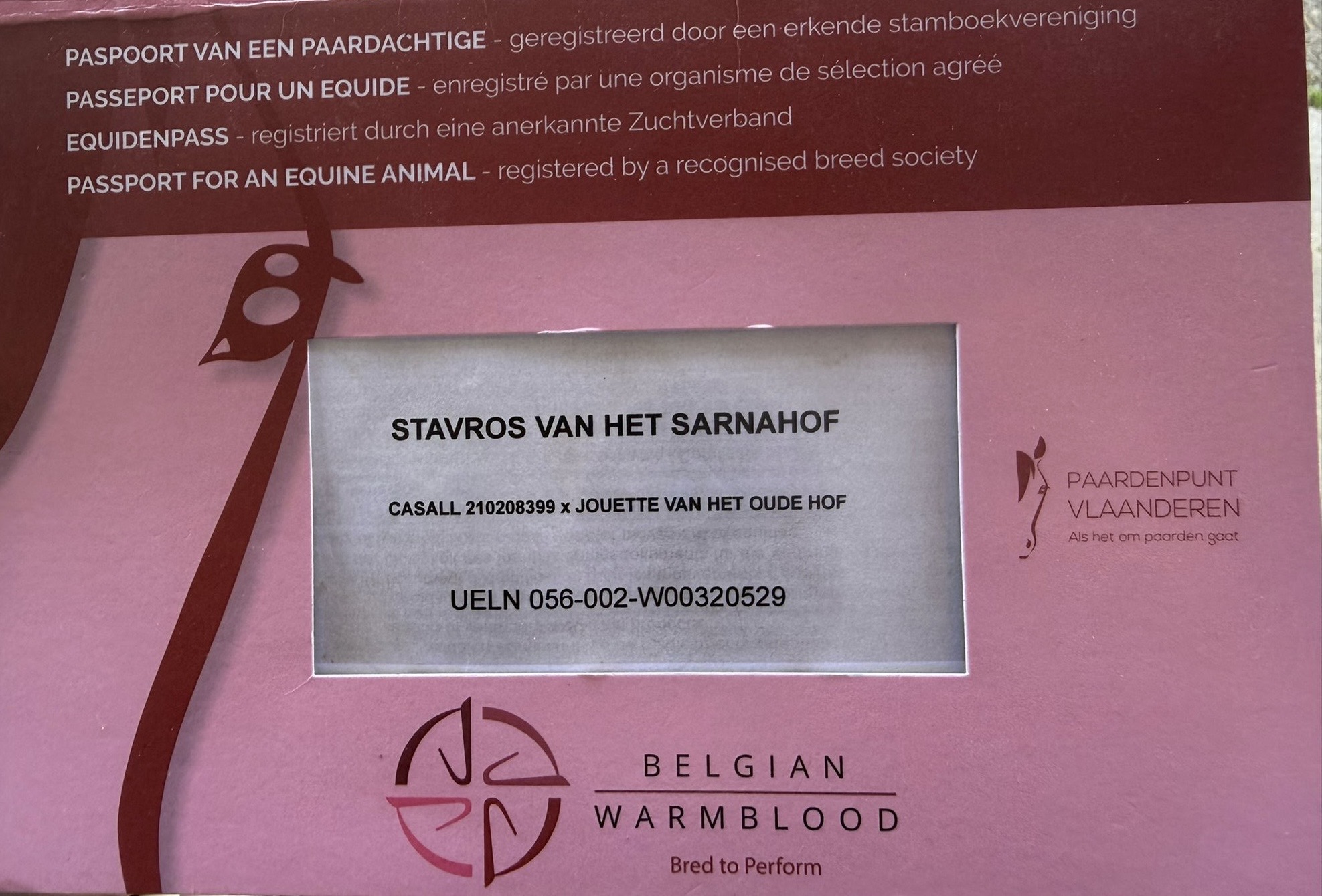 STAVROS VAN HET SARNAHOF