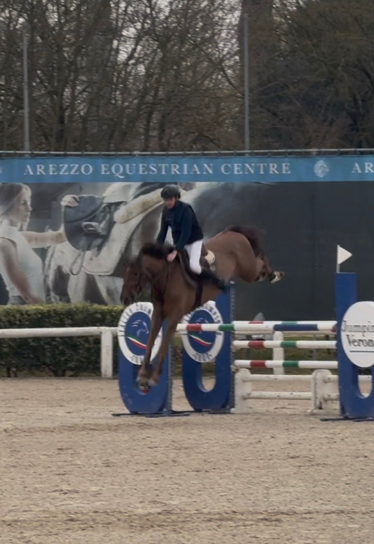 649bc862-249b-43ce-9615-f459f2db3855