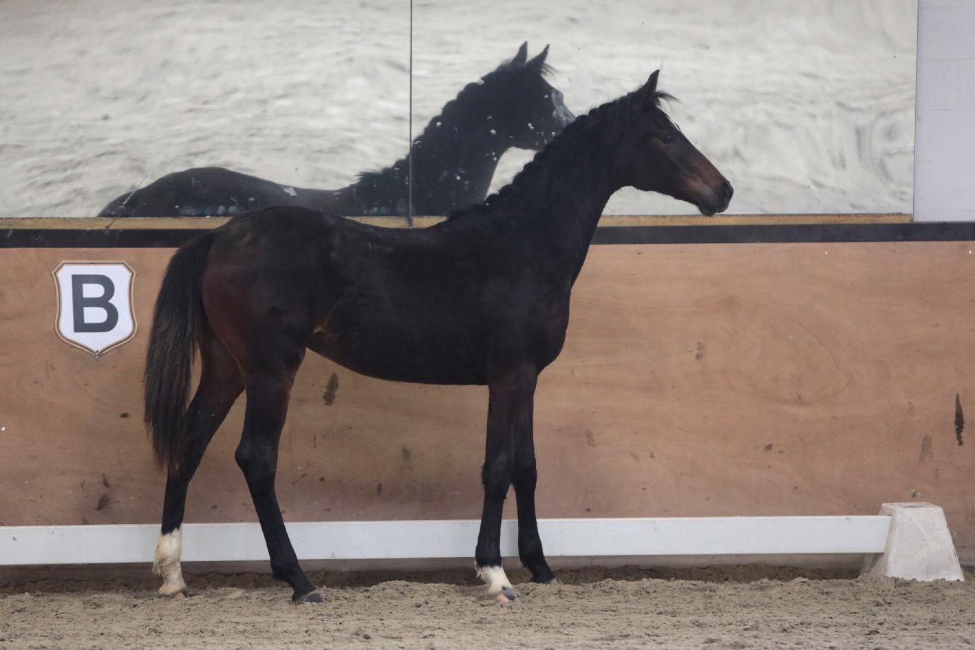 70e81bfe-2d1e-4262-856f-072f1db90d28