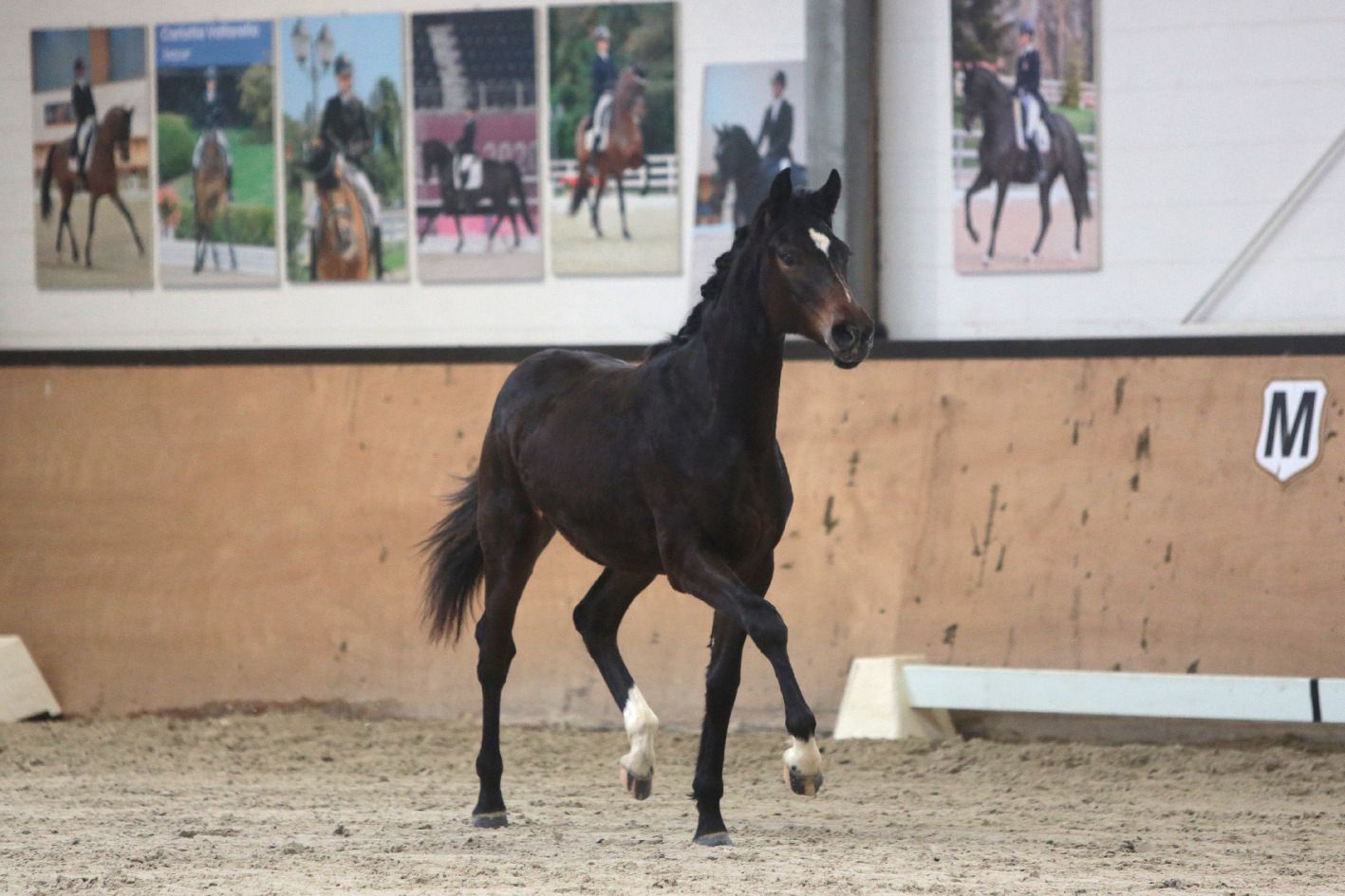 7bf60436-bd7f-455d-b252-c4ababd66f1b