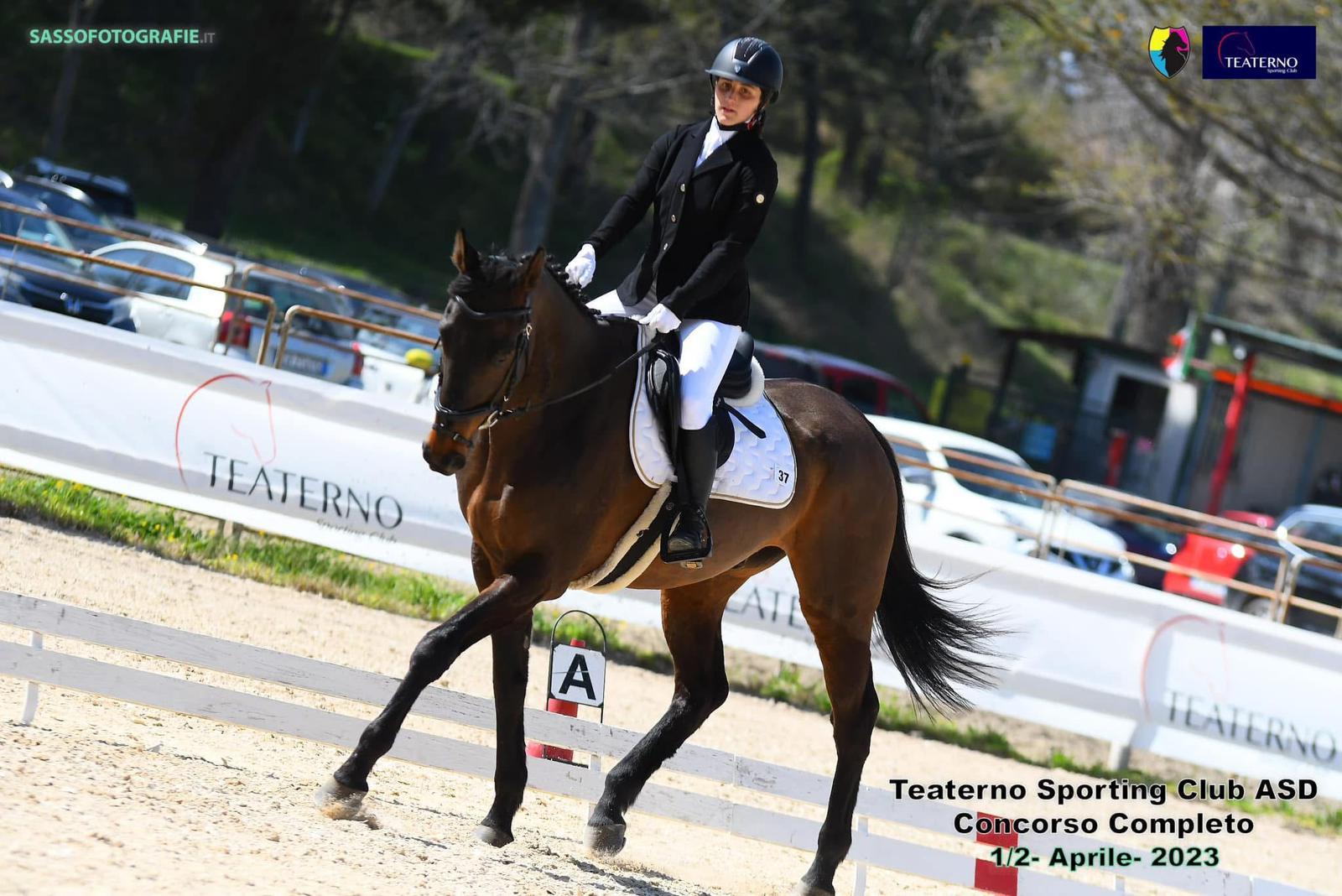 831afbeb-73ed-4ba5-849a-dac388884d12