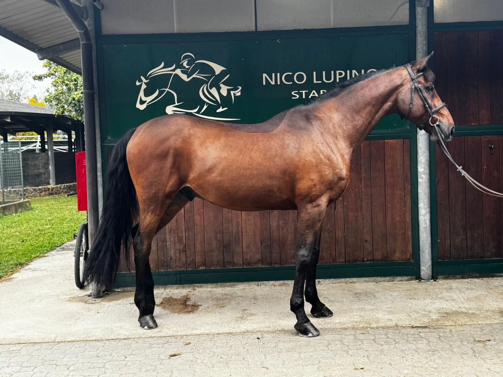 85becf36-ccc3-4911-890c-a15f164faf7d