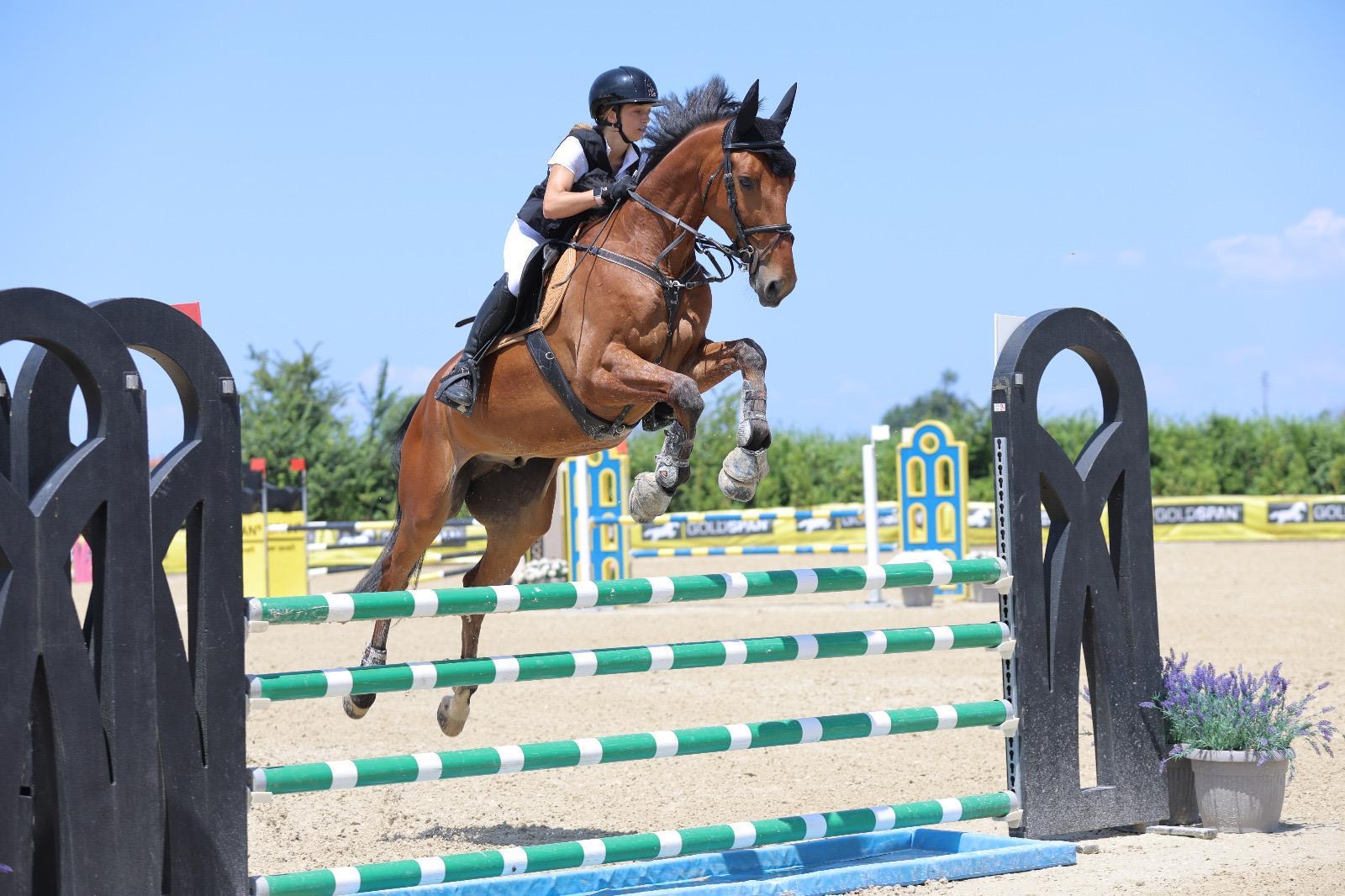 8b2df433-d91e-43e4-bd70-95e7aa97197f