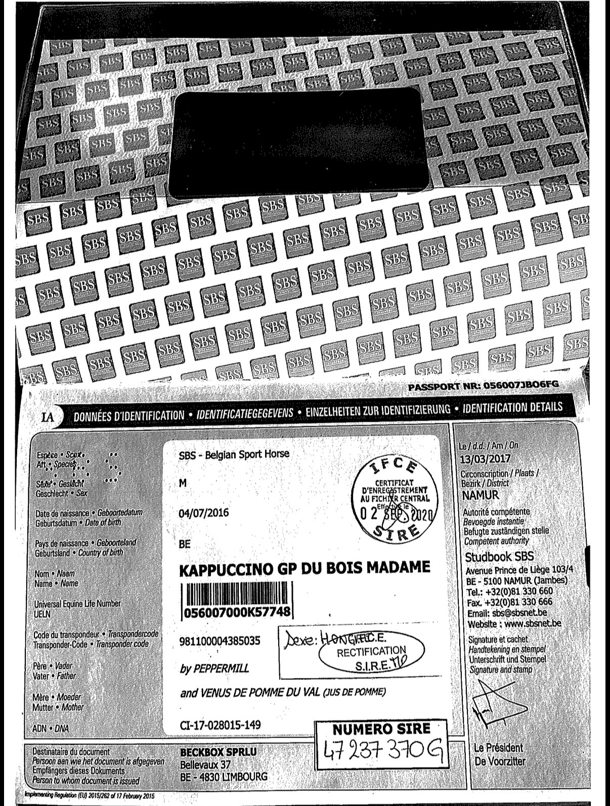 KAPPUCCINO GP DU BOIS MADAME