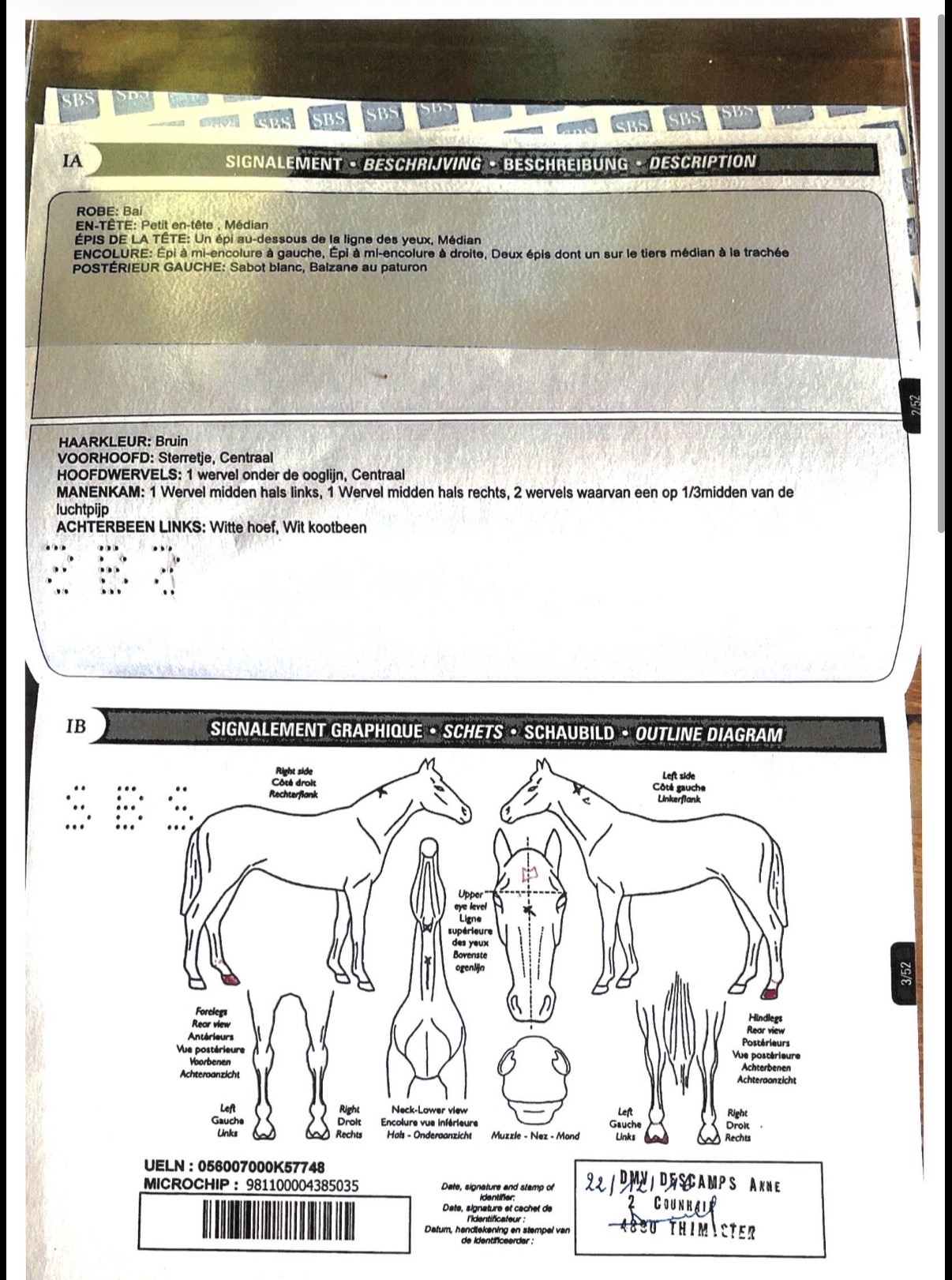 KAPPUCCINO GP DU BOIS MADAME
