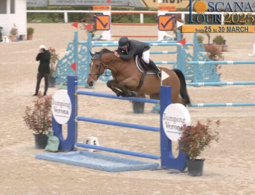 BOWIE VAN’T ZILVERHOF Z