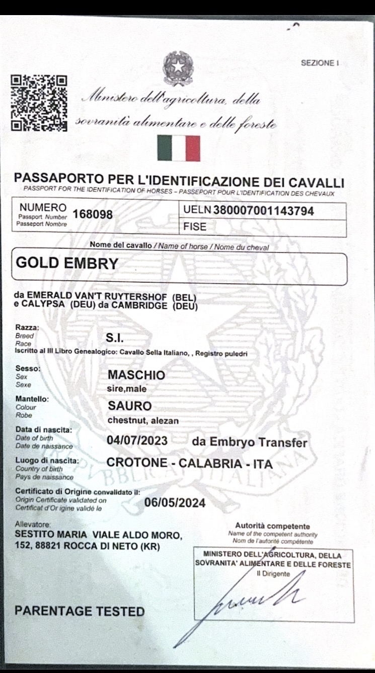 GOLDEMBRY INDEPENDENCE DAY