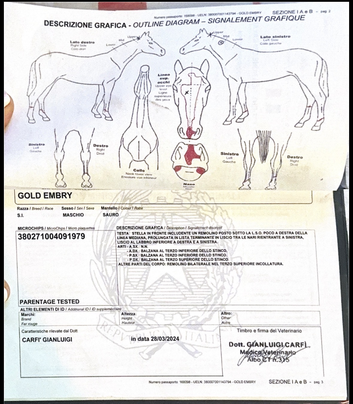 GOLDEMBRY INDEPENDENCE DAY