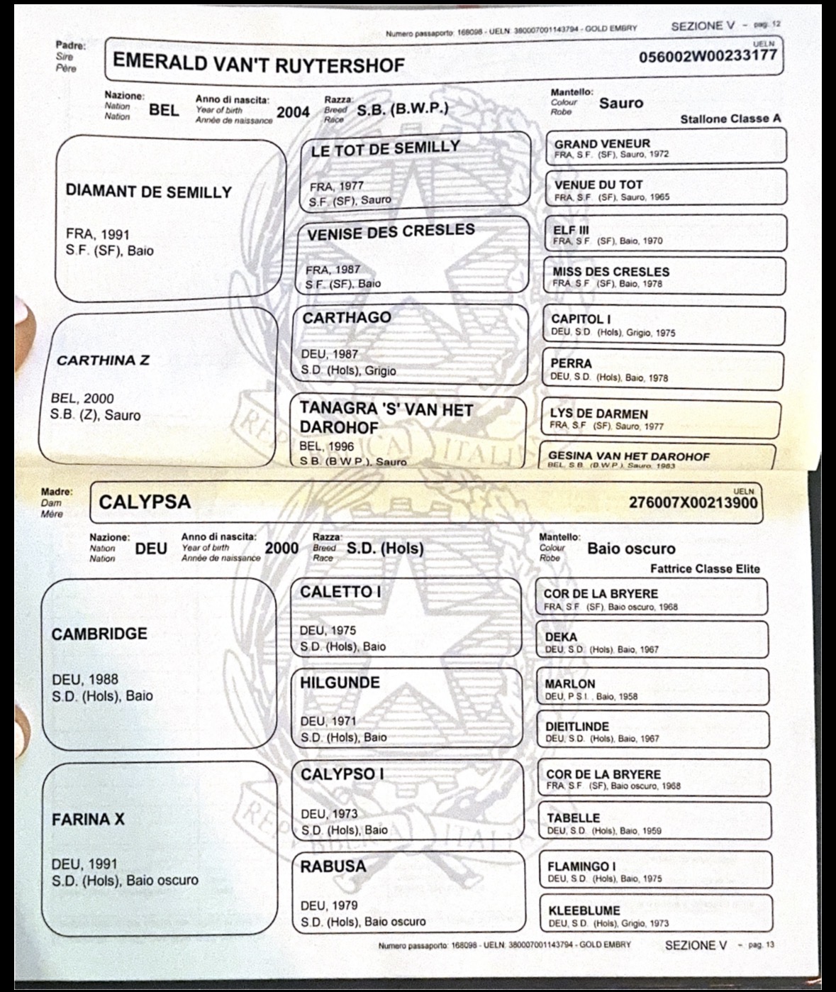 GOLDEMBRY INDEPENDENCE DAY