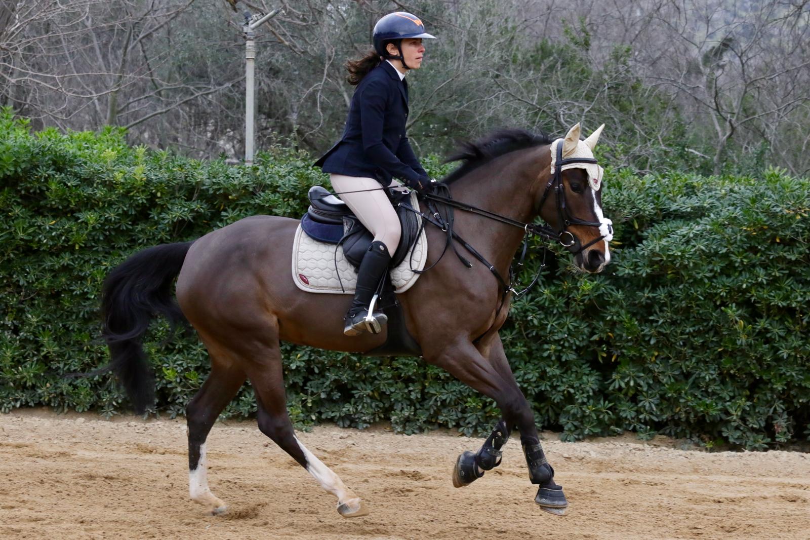 WhatsApp Image 2026-03-17 at 22.53.37