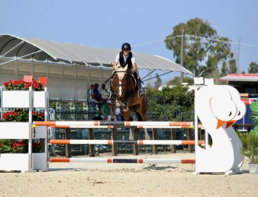 Quartilla Van de Hoge Dijken