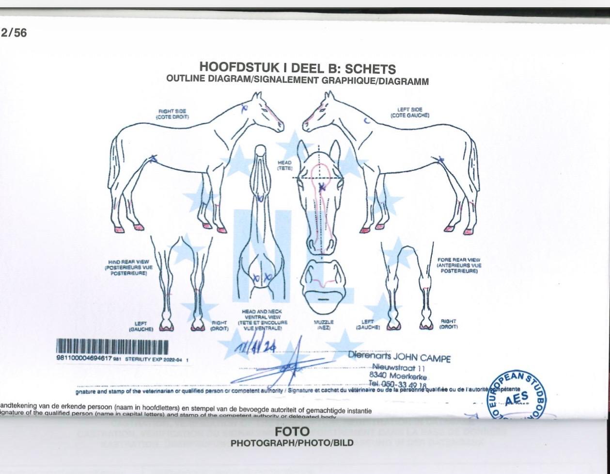 Quartilla Van de Hoge Dijken