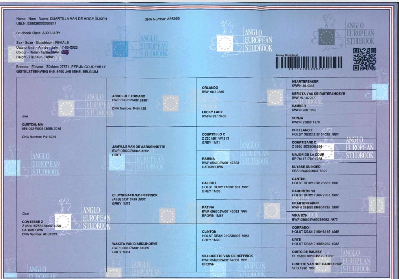 Quartilla Van de Hoge Dijken