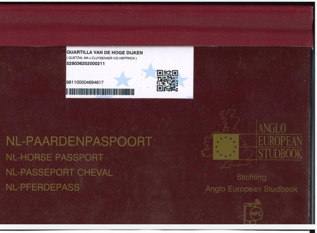 Quartilla Van de Hoge Dijken