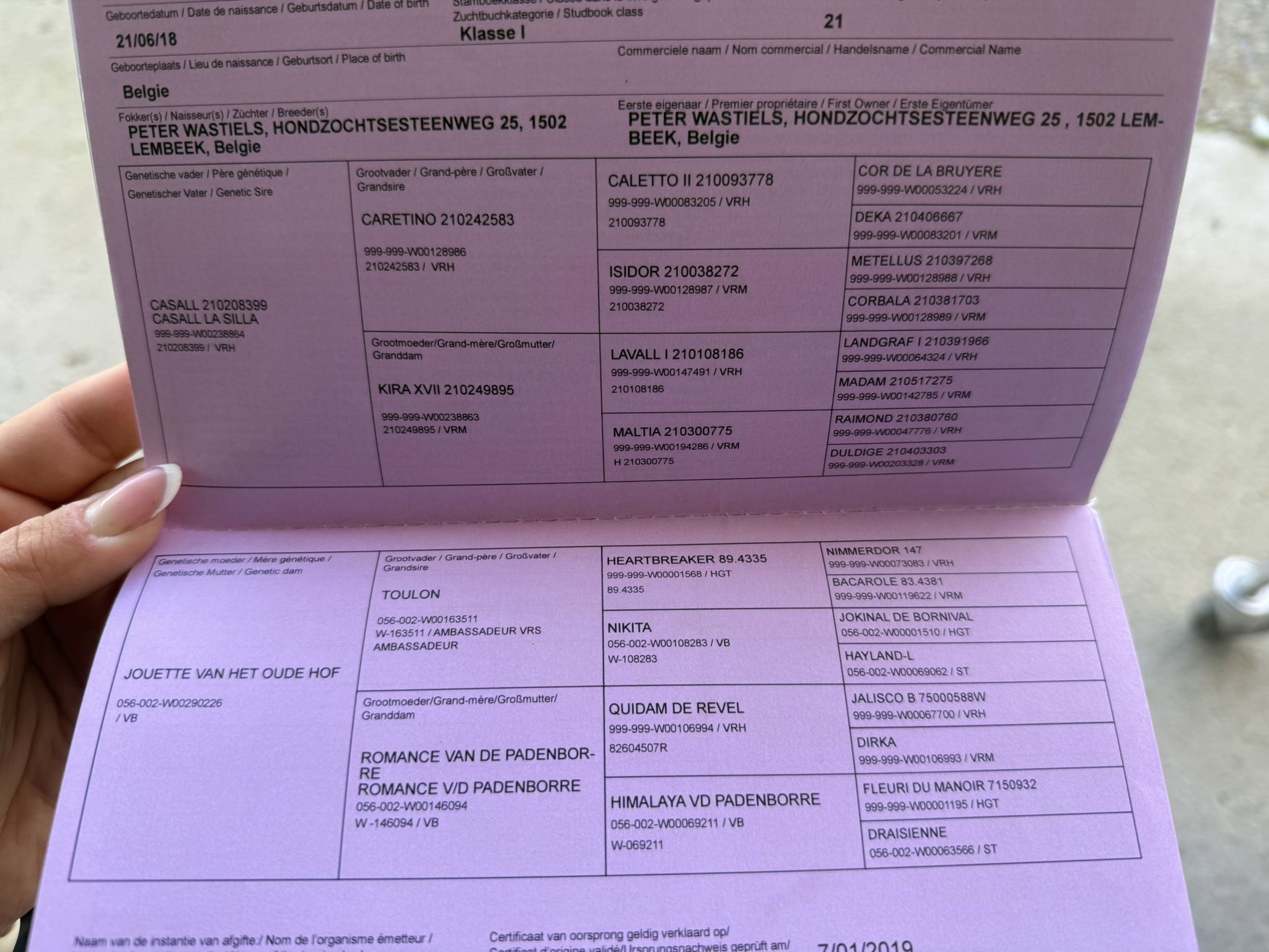 STAVROS VAN HET SARNAHOF