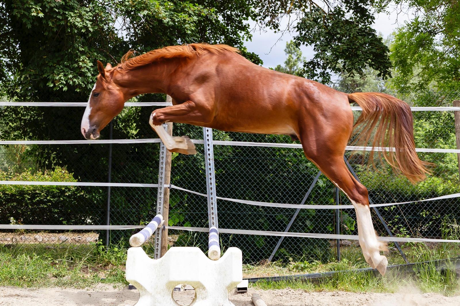 a905b92e-fe93-40ff-afef-a0835aacef7b