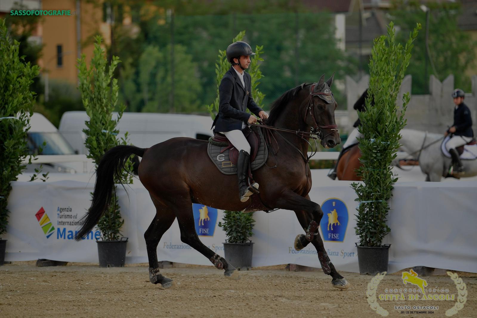 ad5989b8-0fb4-4221-b6e6-94e6e45d5aa3