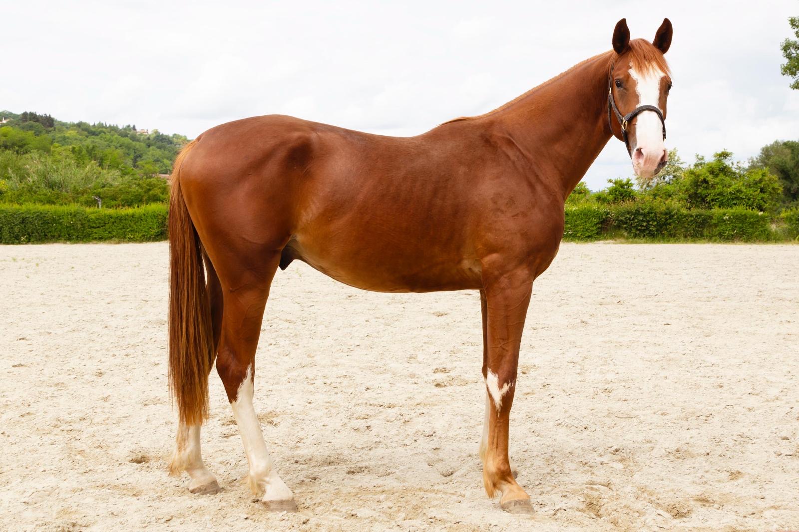 af0fd317-c4b0-4873-9161-c6342b35b502