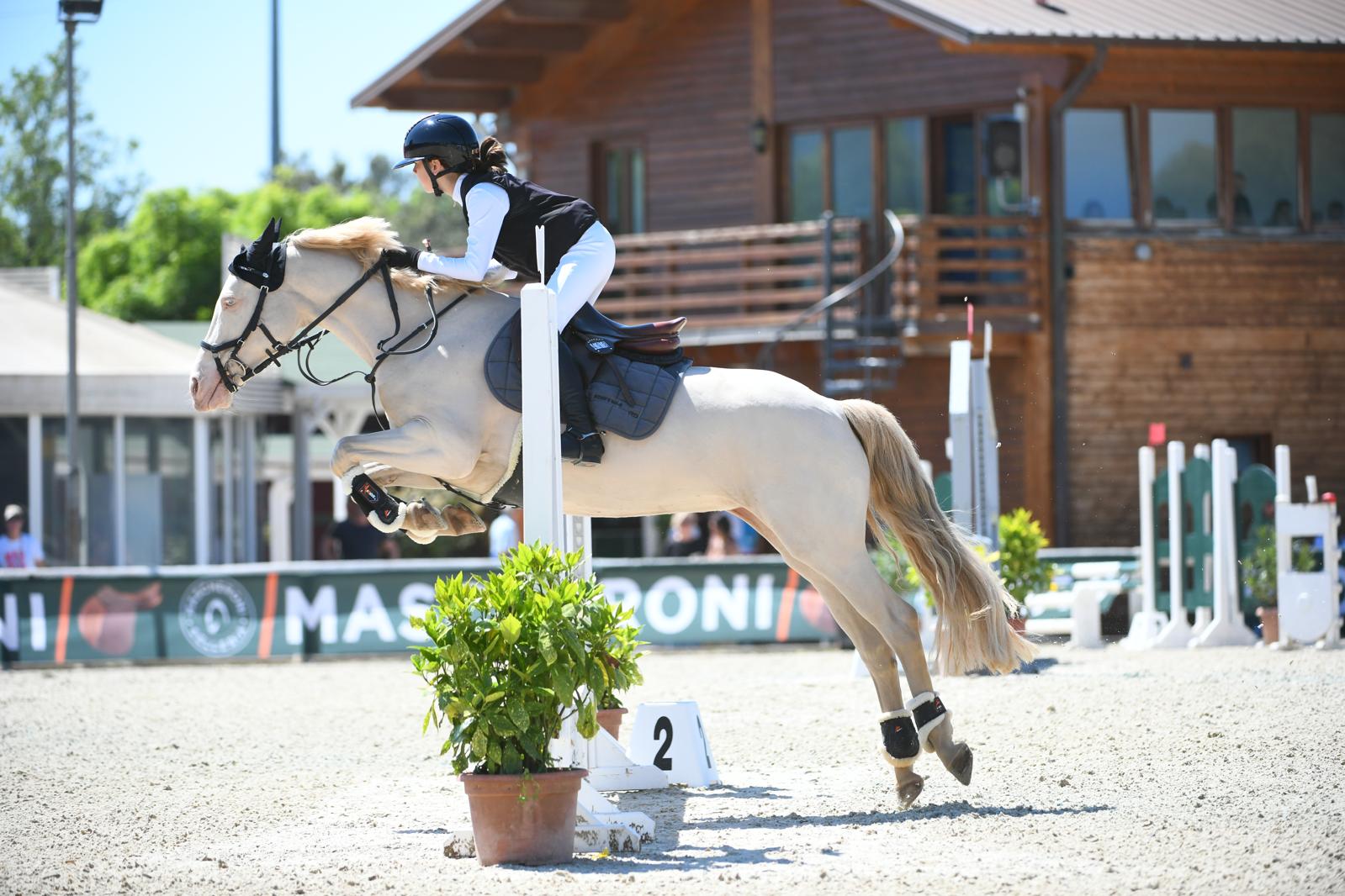 b2449129-2da7-46a1-a845-780f1f0f62cb