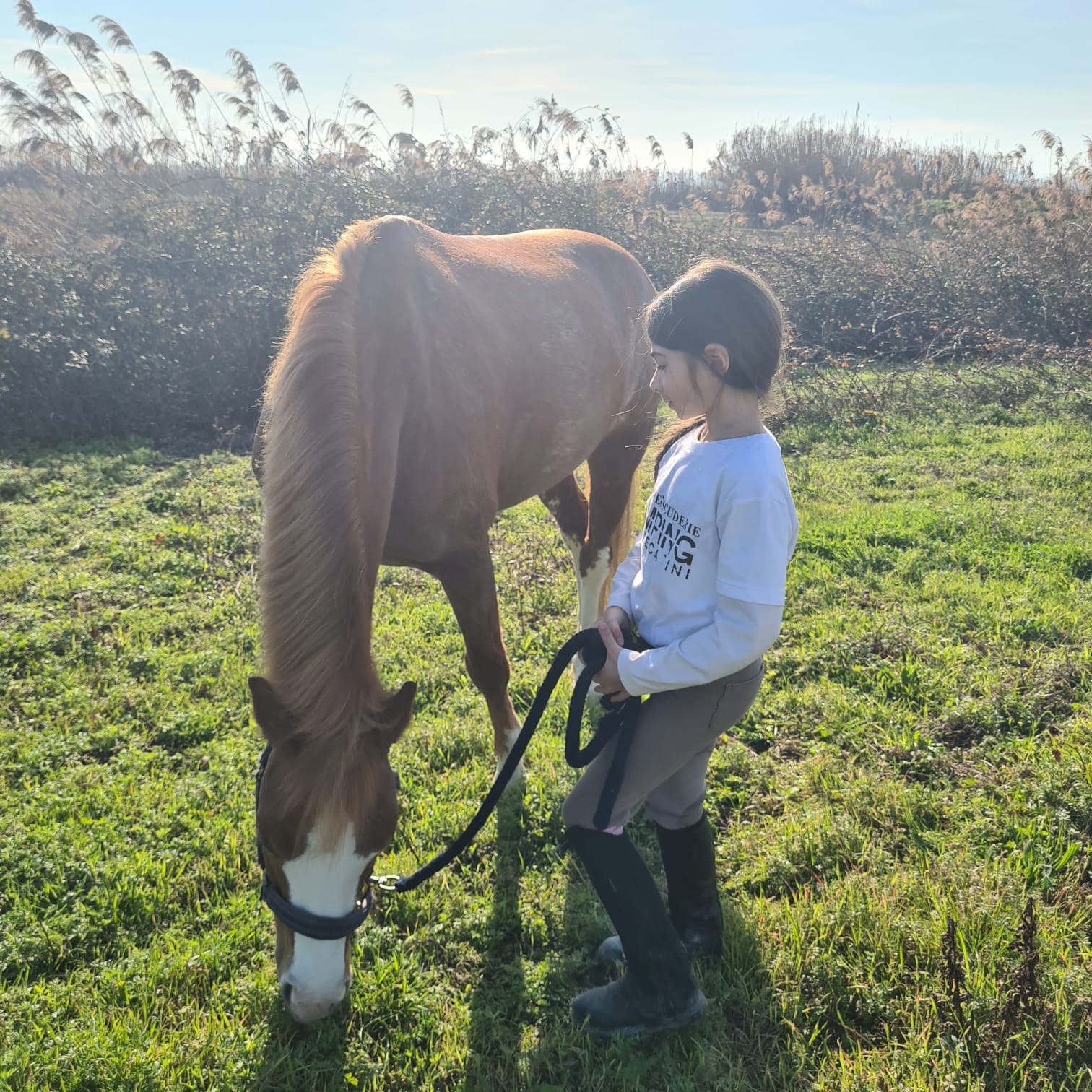 bb38744f-bd8d-44b8-8b89-990e92ec19e8