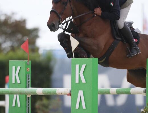 Next twist van’t ruytershof