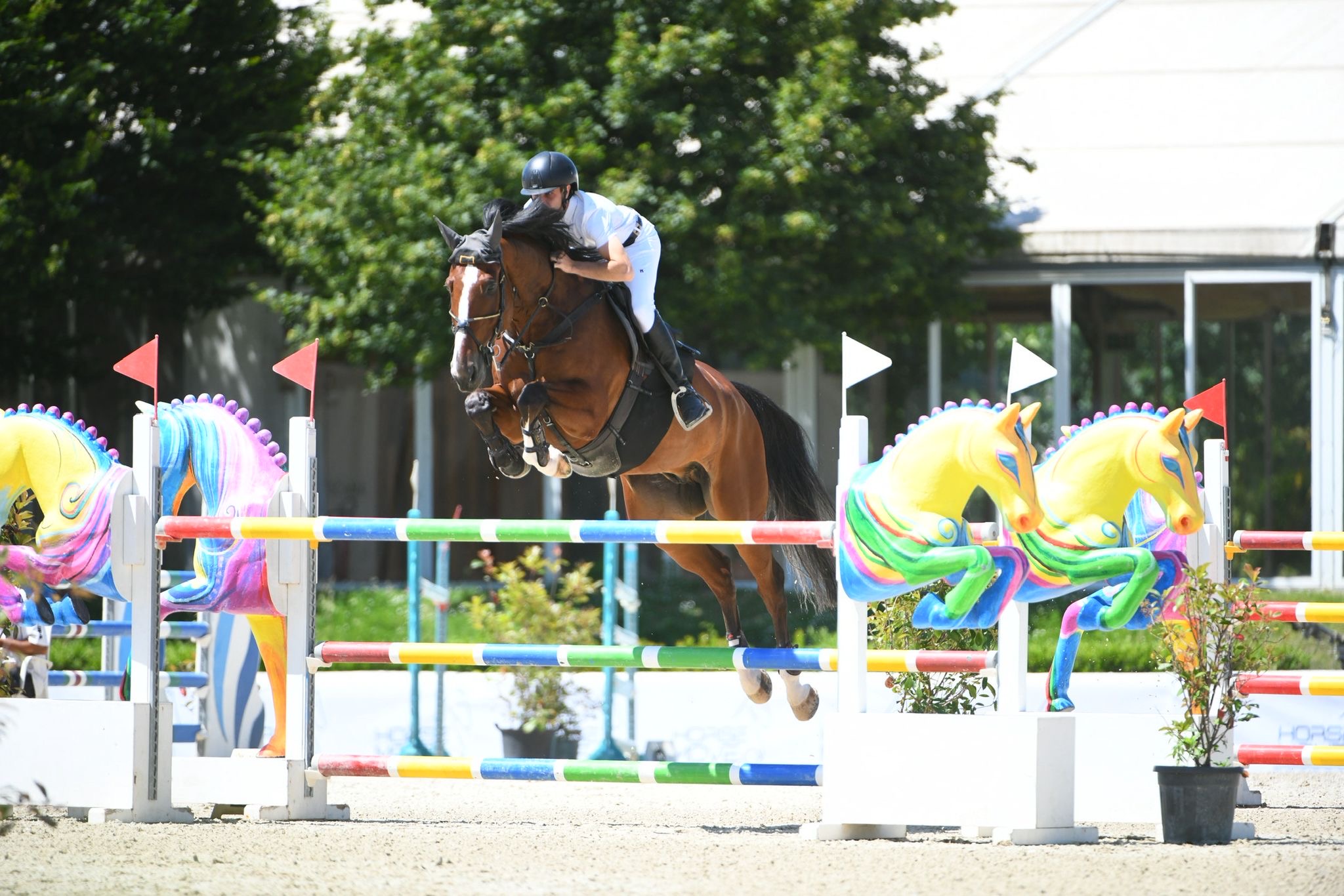 c3974b4c-f68d-4170-8815-12152fdd8f12