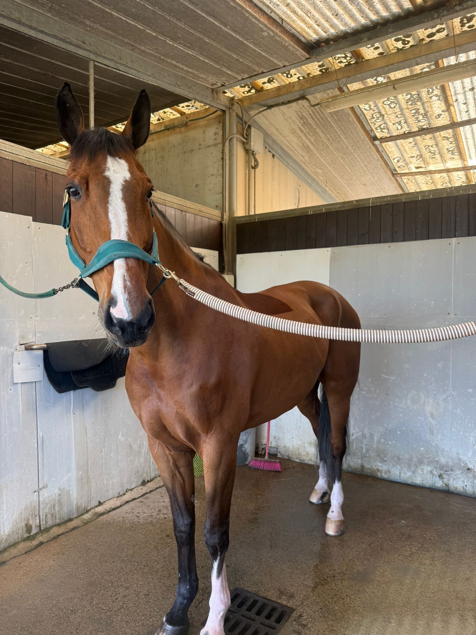 c4a6c922-d988-4a88-b694-59327310fc55