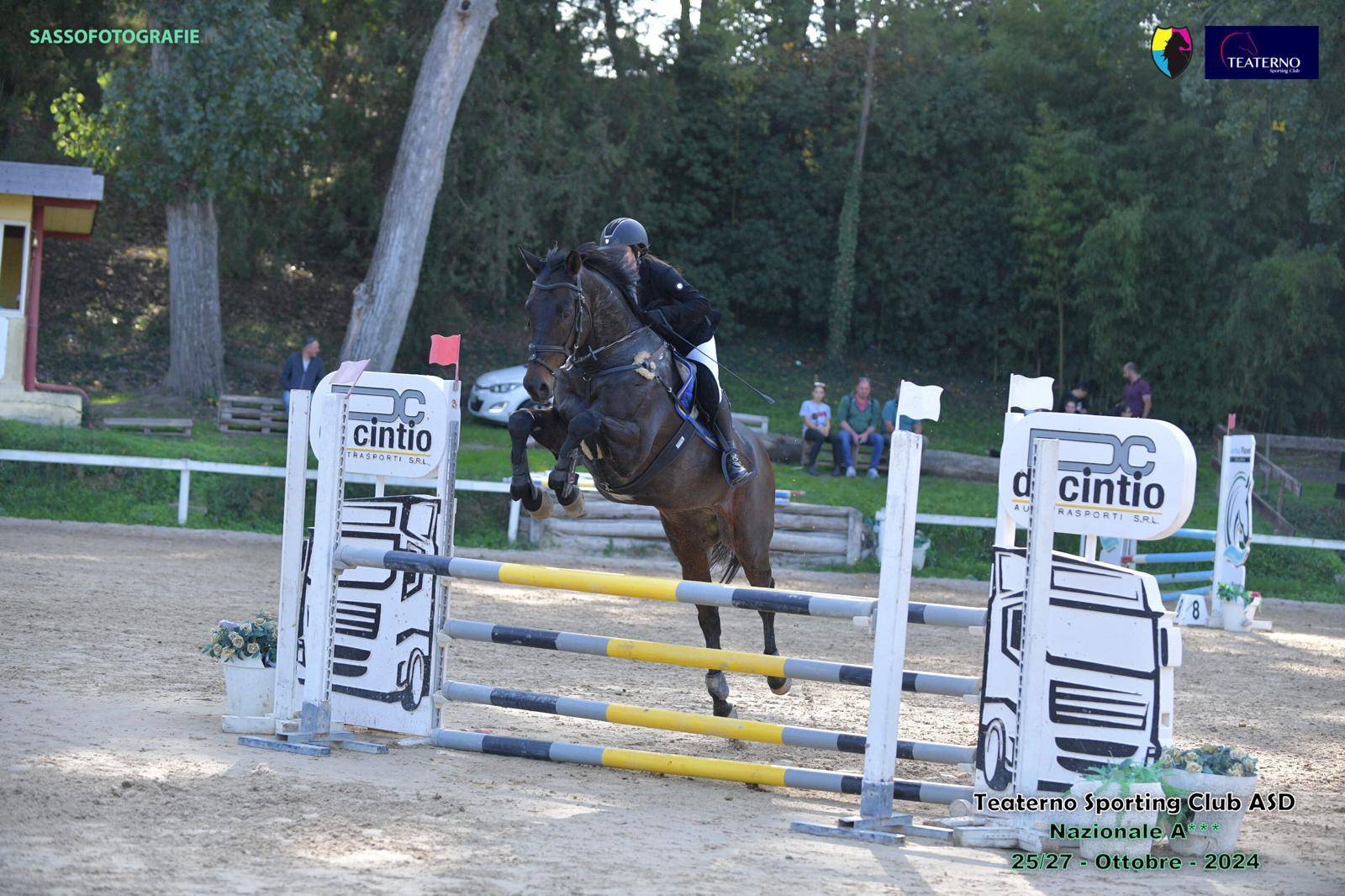 d71c98ec-e1e5-4d81-aab1-7be91f893dde