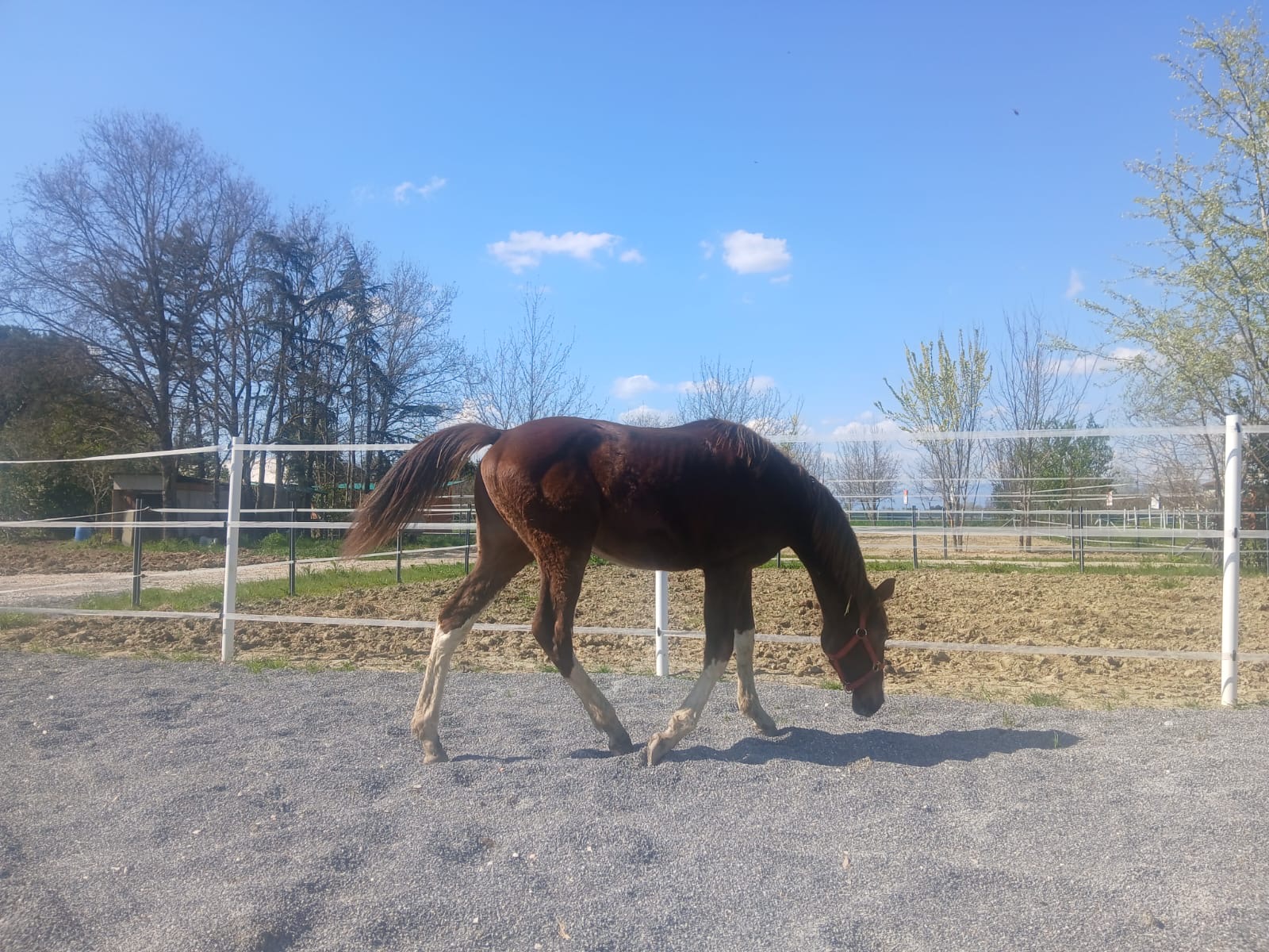 d74c55bf-fe87-49aa-a193-06f4d6a3850c