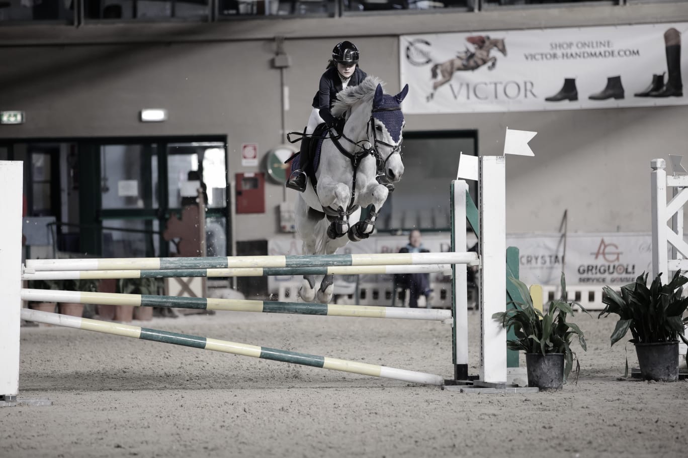 d98044a1-d235-4f3f-9613-4e32a59de276