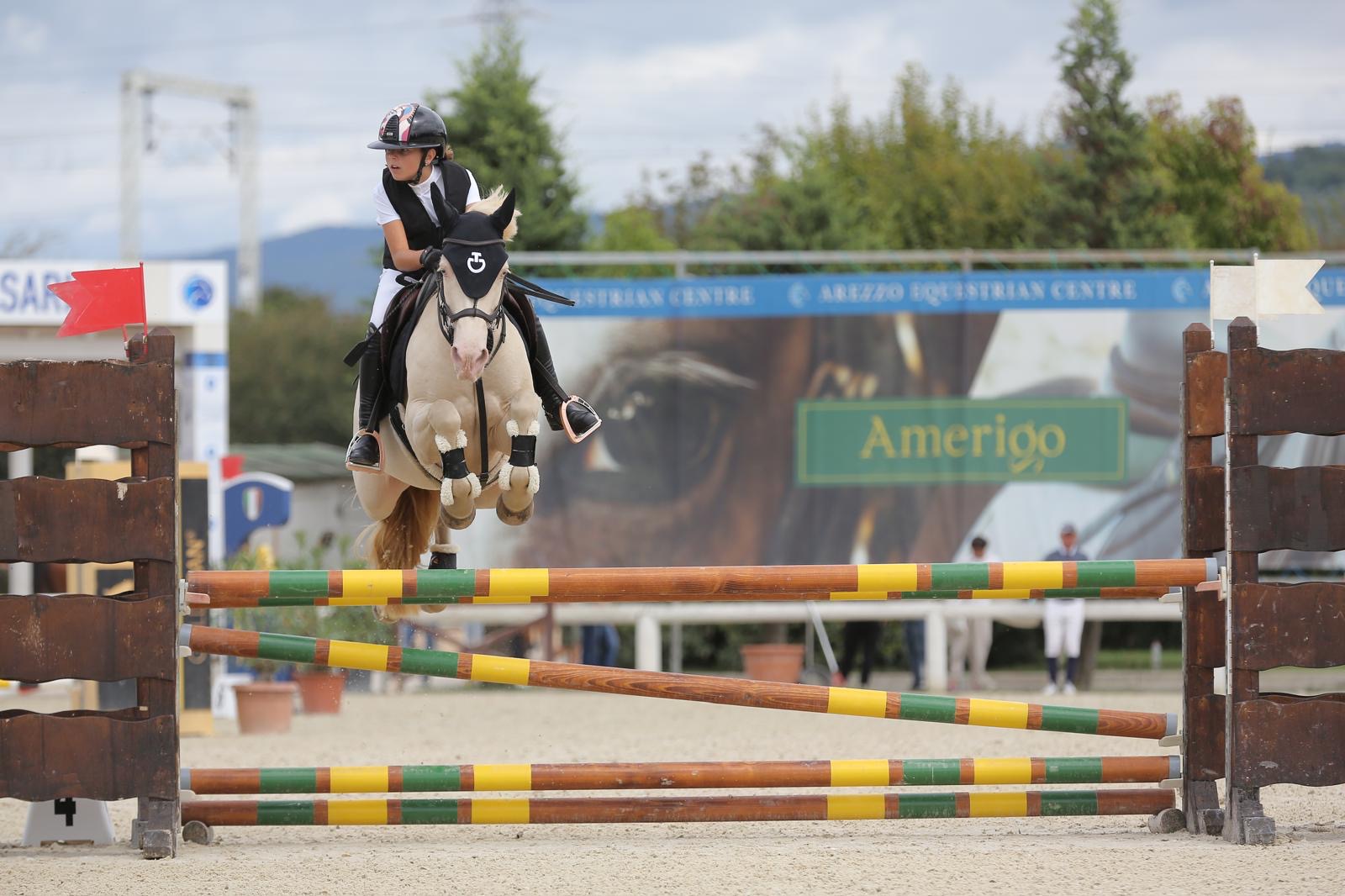 e54ee697-3a8d-4966-b7f5-10c583c8b1e6