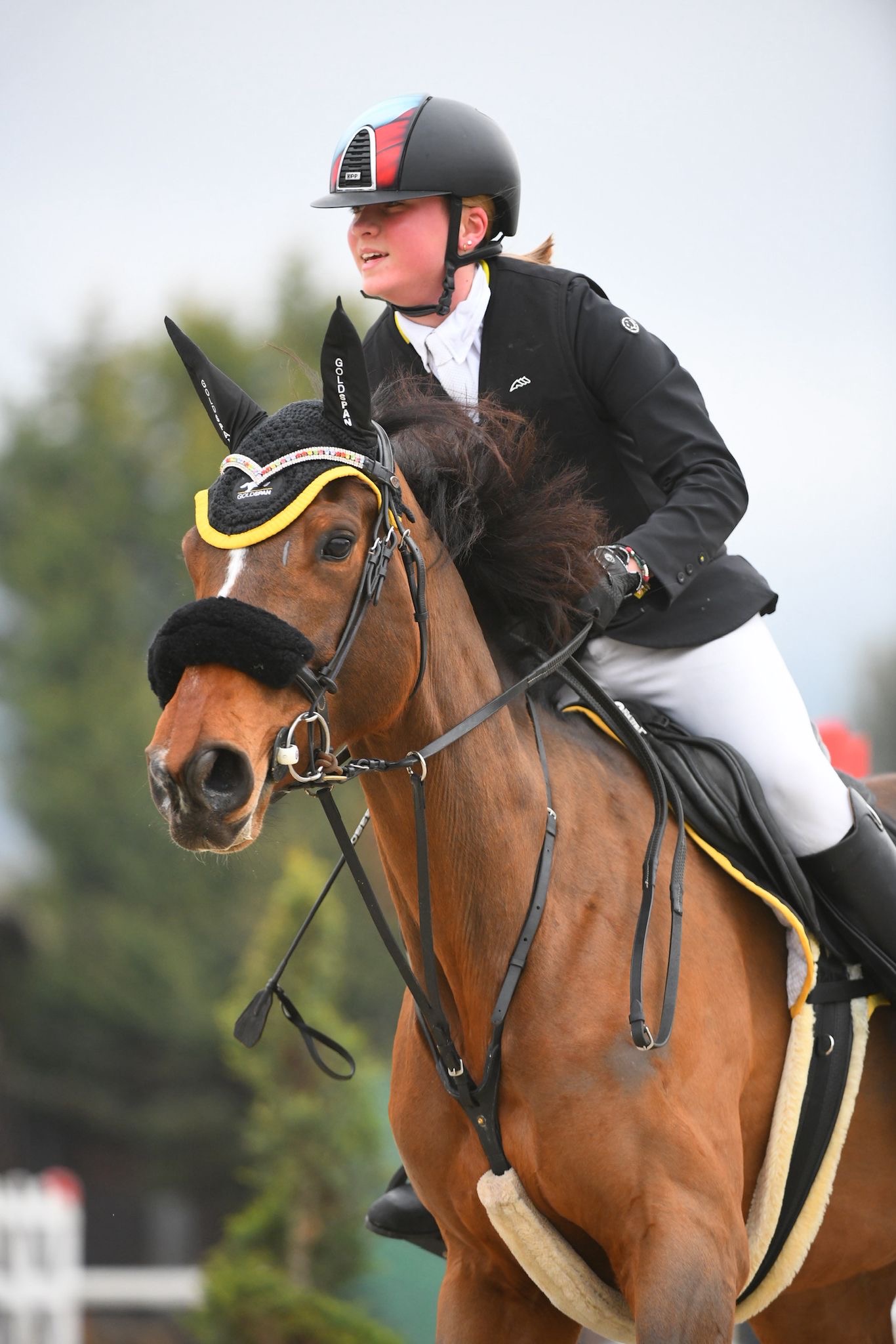 fdcf6482-1c1c-4d81-949e-31bb31653244