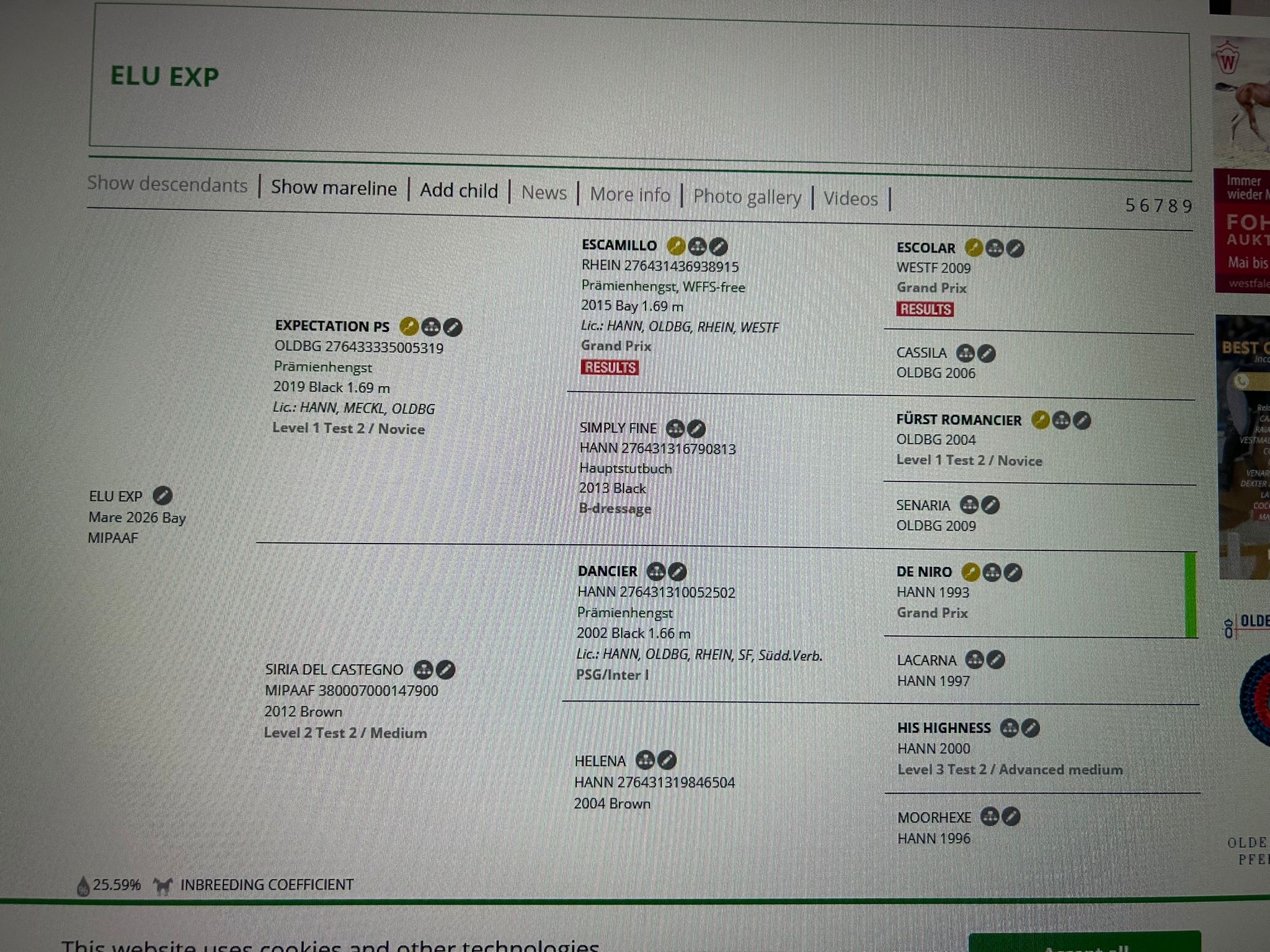 ELU EXP