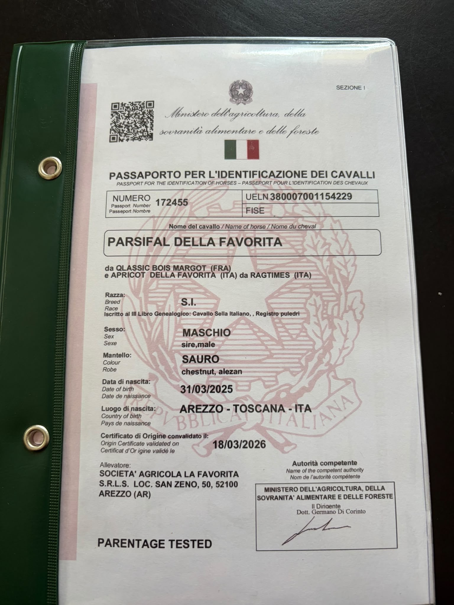 Parsifal Della Favorita