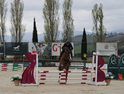 Milord Des Fabries