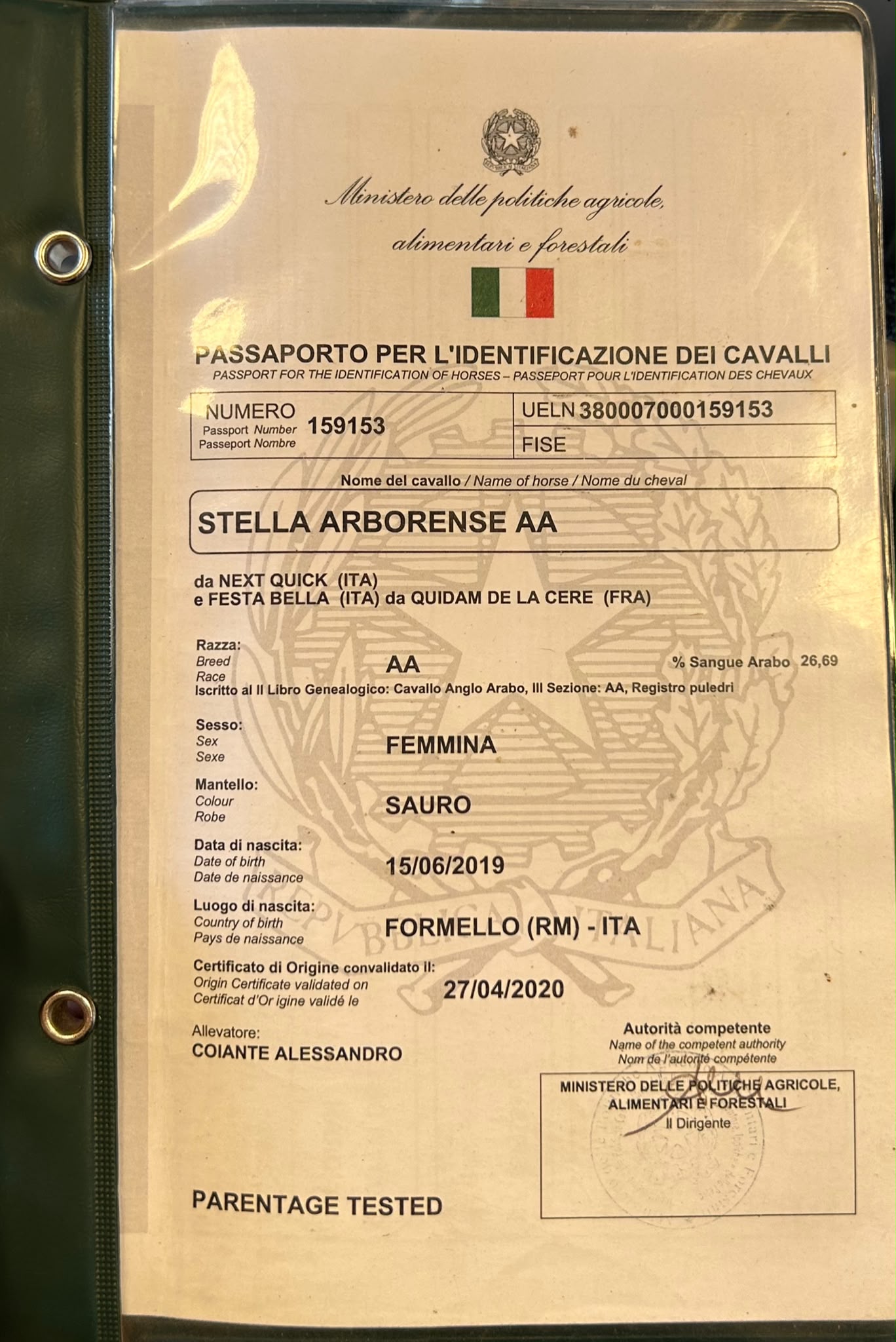 STELLA ARBORENSE AA